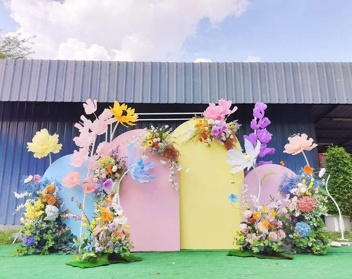 Haldi Carnival — carnival-theme-47