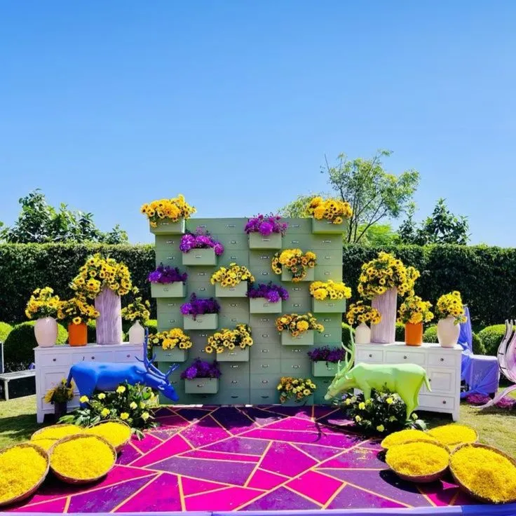 Haldi Carnival — carnival-theme-81