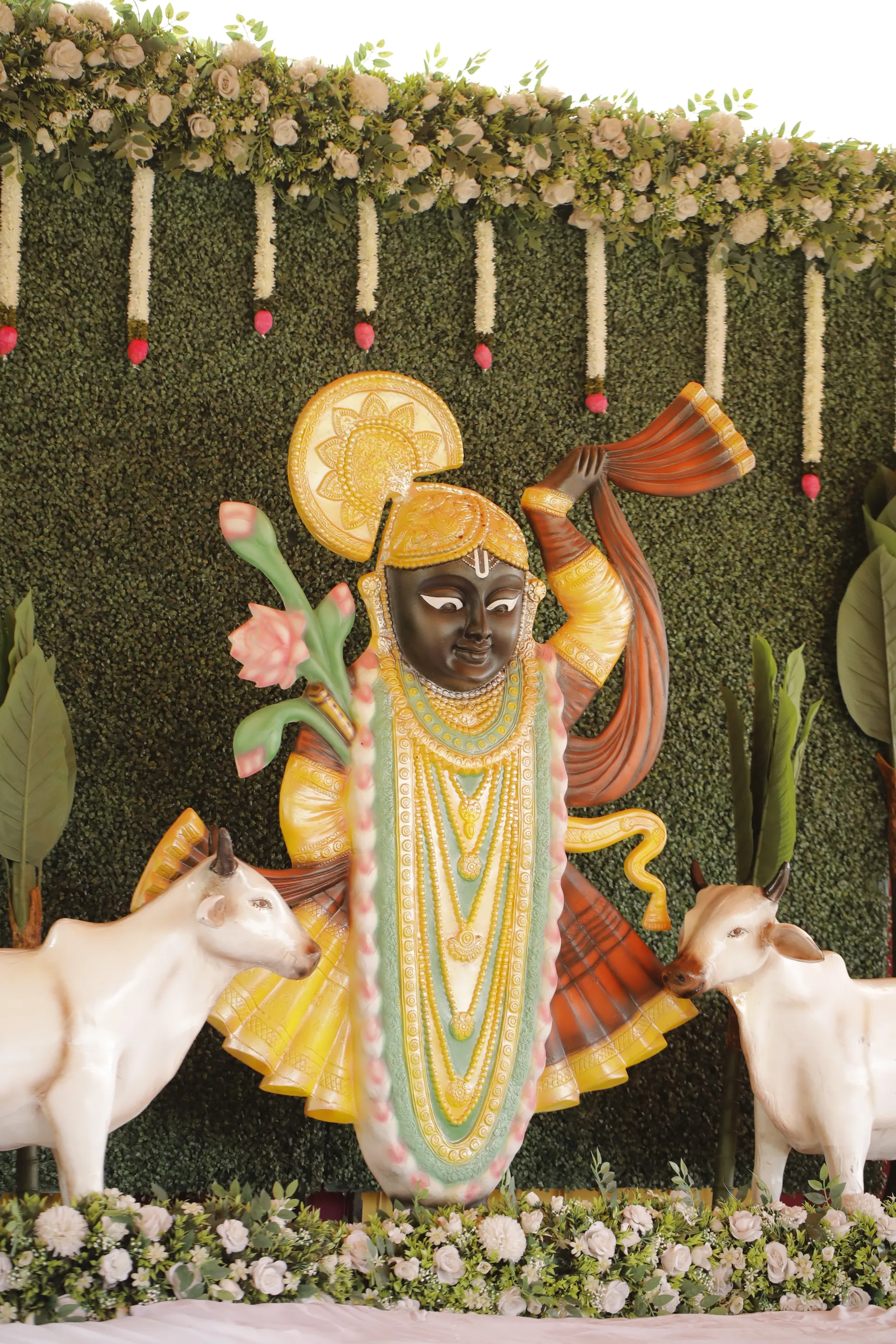Mandap Murat — mandap-theme-01